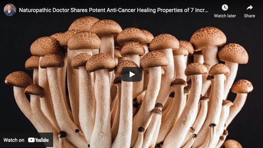 Naturopathic Doctor Shares Potent Anti-Cancer Healing Properties of 7 Incredible Mushrooms